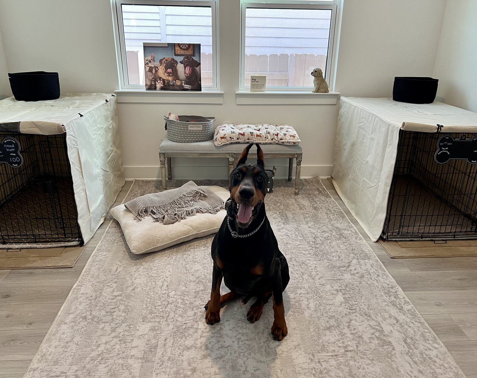 Inside the boutique suite — crates, beds, and a happy guest