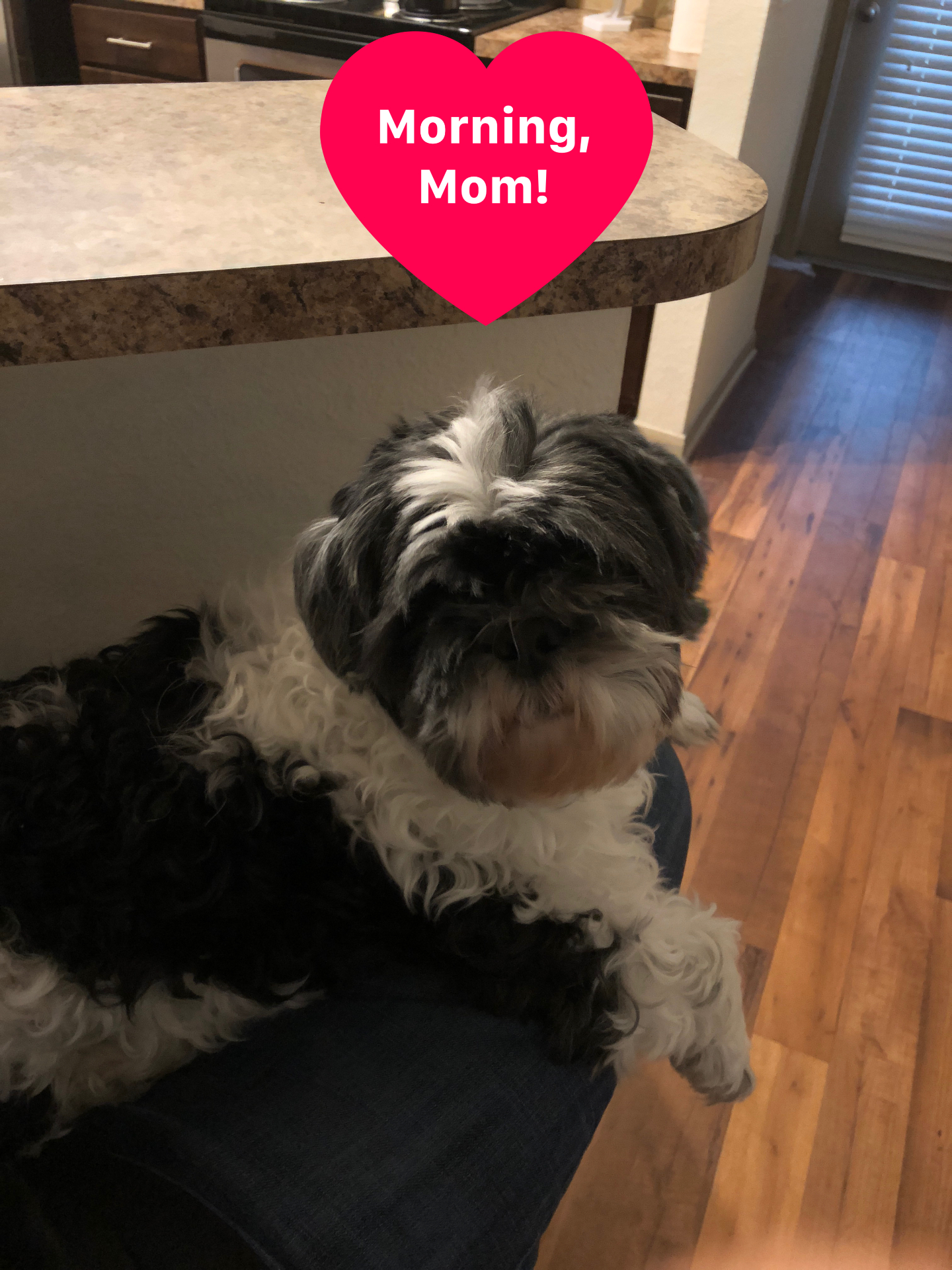 Daily photo update: 'Morning, Mom!' from a guest