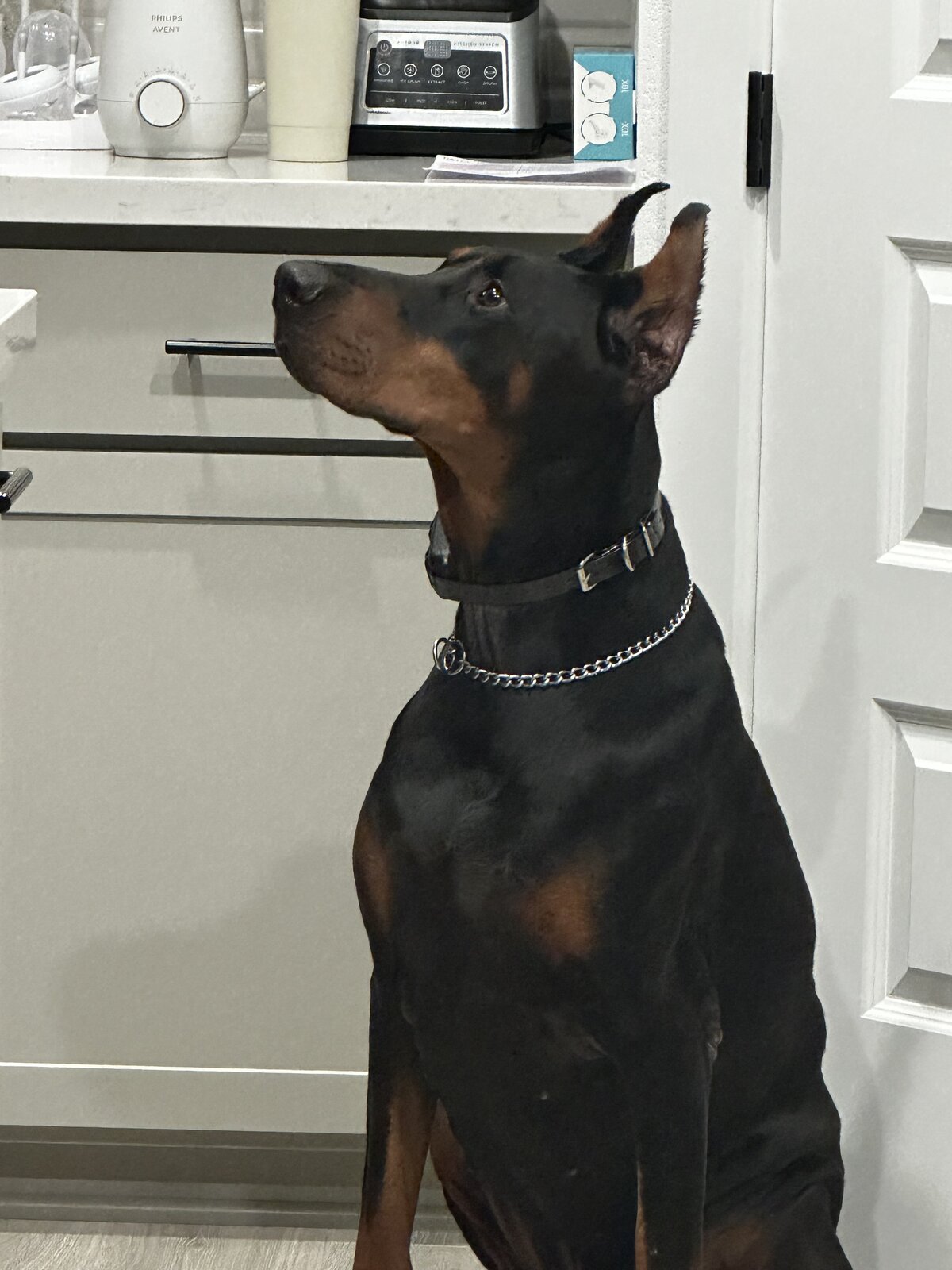 Treat time in the kitchen